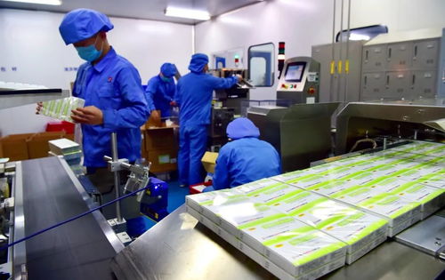 提振信心 石家莊兩家阿比多爾生產企業開足馬力生產