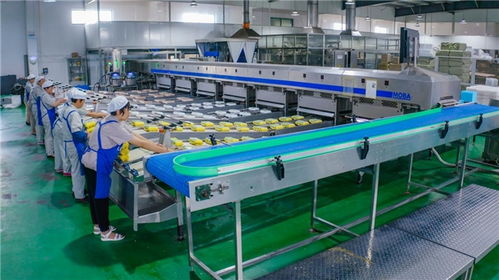 從婷婷農(nóng)副產(chǎn)品產(chǎn)銷模式,窺見海安禽蛋養(yǎng)殖一體化的奧秘